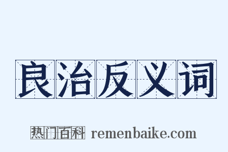 良治反义词是什么意思的图片